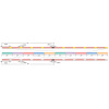 Шнур Sunline PE-Jigger ULT 200m (multicolor) #1.7 13кг Шнур Sunline PE-Jigger ULT 200m (multicolor) #1.7 13кг