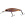 Воблер Jackall Squad Shad 65SP RT Mirror Wakasagi