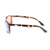 Очки Kalipso polarized BR2014SD-C
