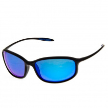 Окуляри поляризаційні Salmo 02 (полікарбонат, лінзи сірі + Mirror blue)