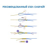 Шнур Azura Safina Braid PE X4 150м #0.6 0.128мм