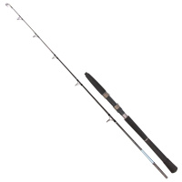 Спиннинг Golden Catch Rocky 1.65m 20lbs