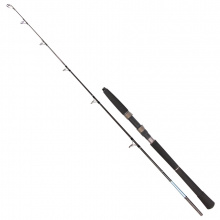 Спиннинг Golden Catch Rocky 1.65m 30lbs